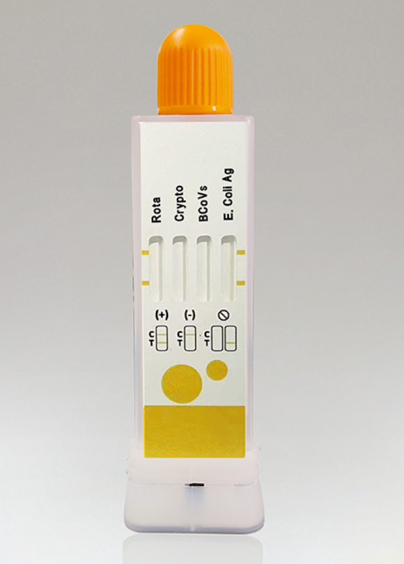 Capture d’écran 2026-01-07 à 11.24.48.webp